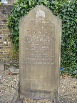 Levy, Fanny (married name)
